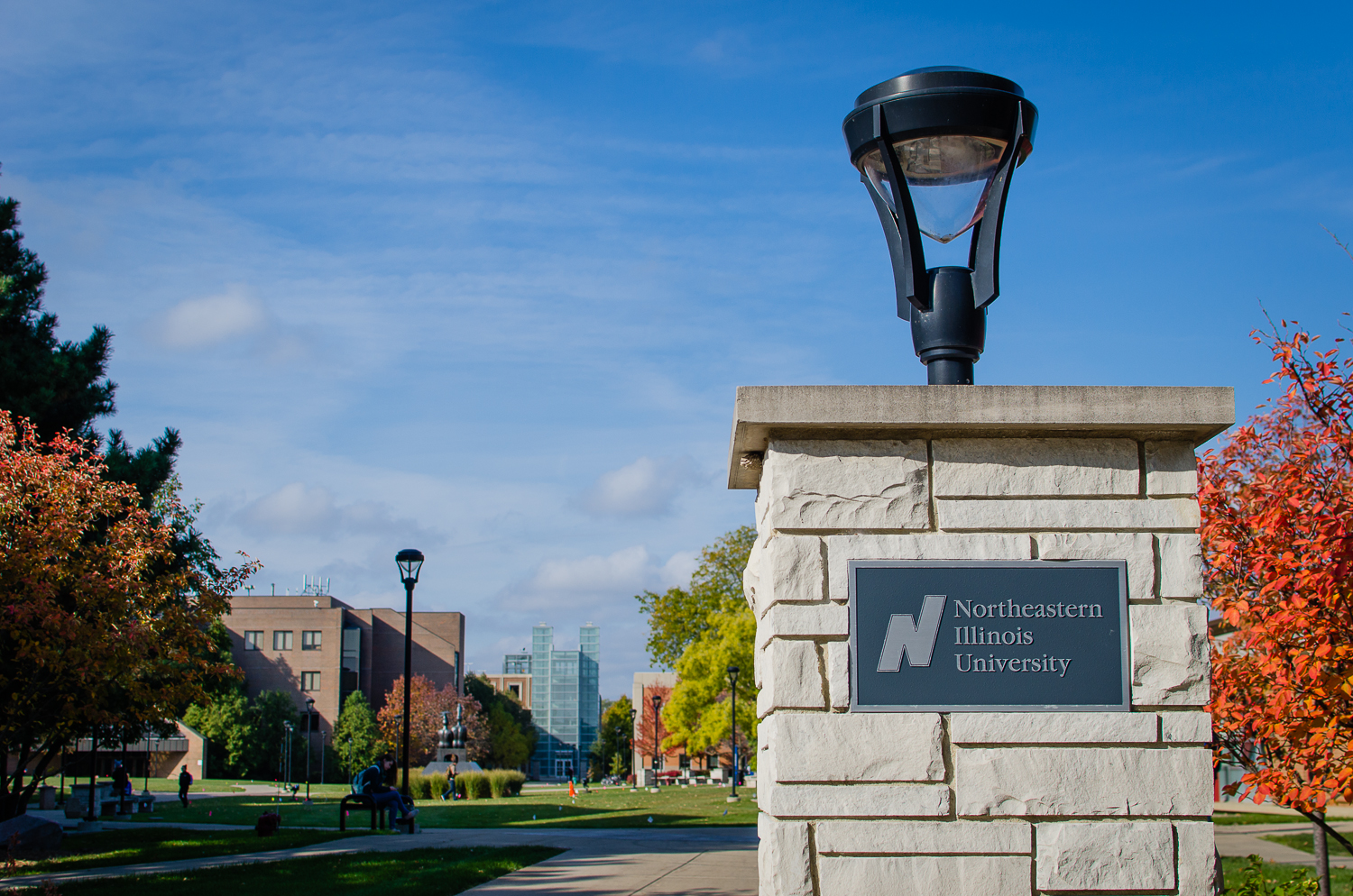 Northeastern Illinois University - The Accounting Path