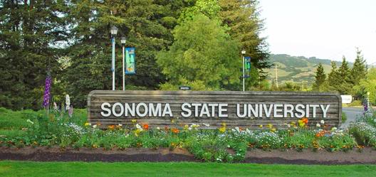 sonoma state university - The Accounting Path